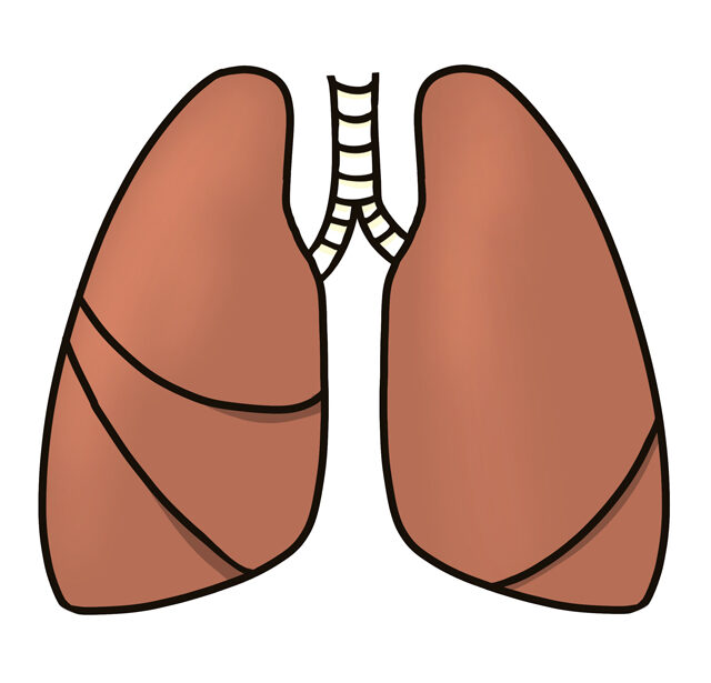 肺がん専門医による肺がん講習会