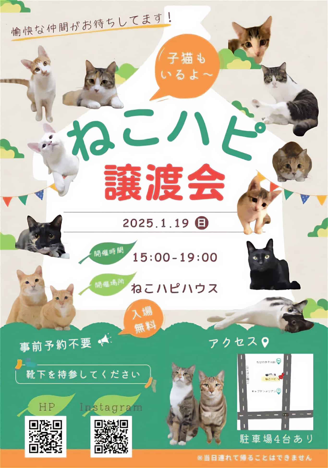 ねこハピ「子猫たちの保護猫譲渡会」2025.1.19✱MIYAKOJIMA EVENT TIMES✱