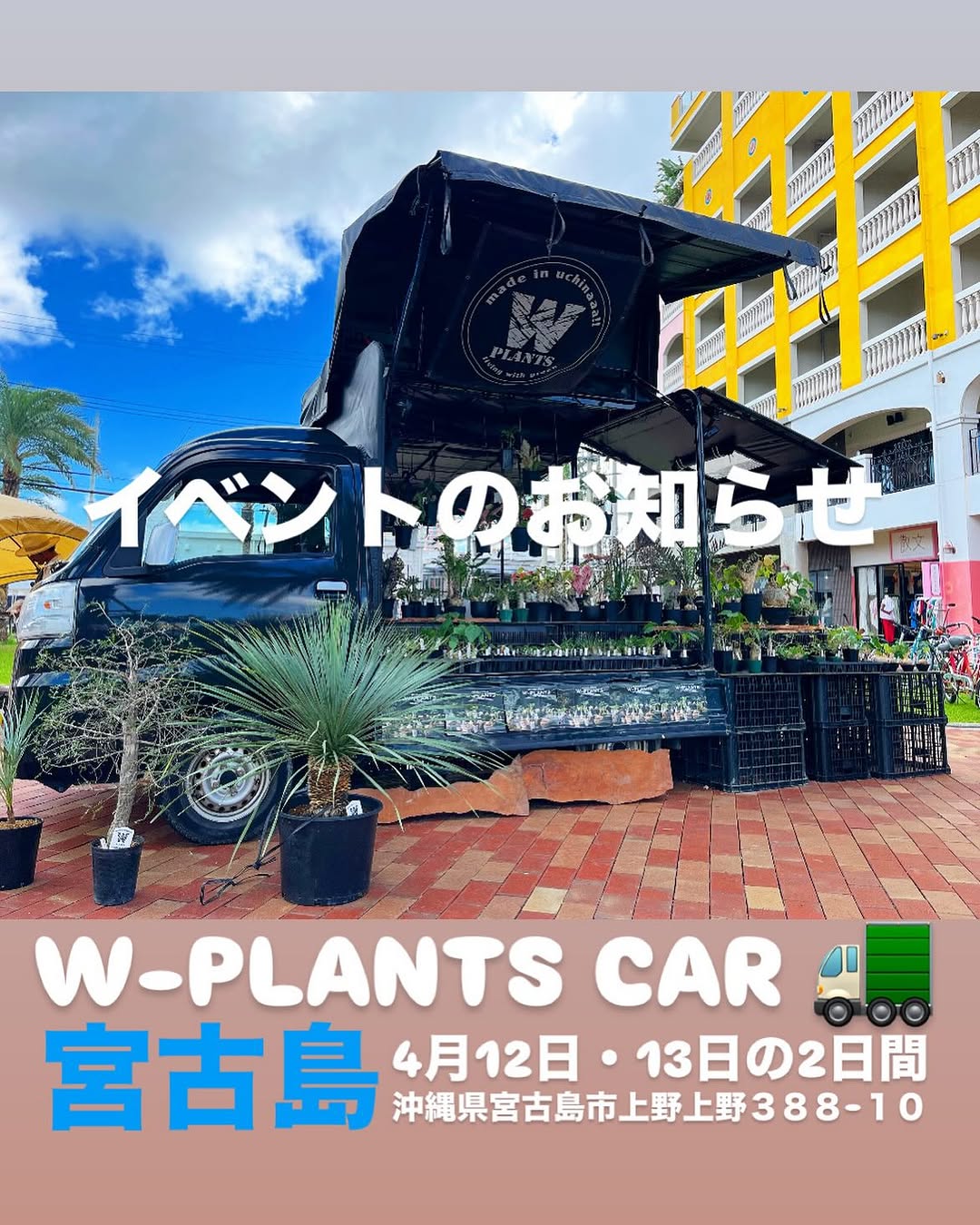 コトネ　愛知県限定手渡のみ名古屋市市西区北区配送無料 45400-369-