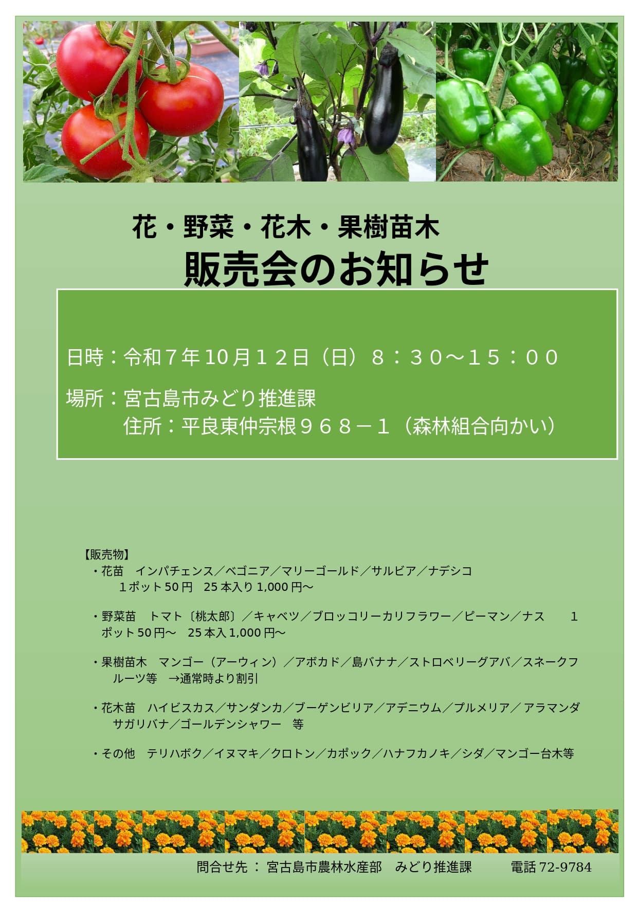 宮古島市『花・野菜・花木・果樹苗木の販売会』開催 宮古島市『花・野菜・花木・果樹苗木の販売会』開催