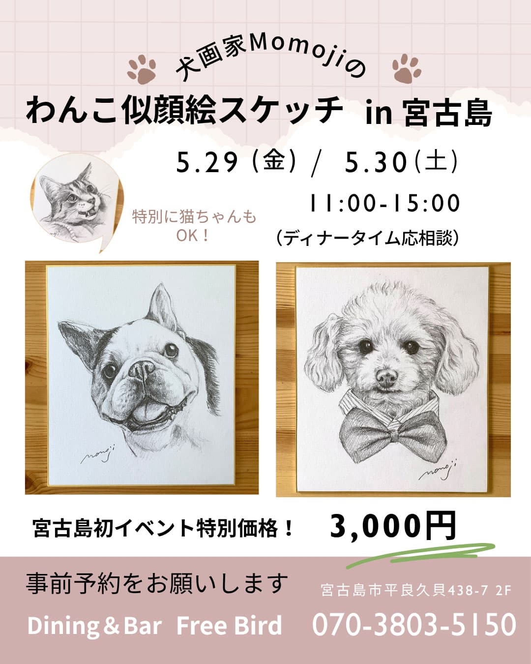 犬画家Momoji『わんこ似顔絵スケッチ in 宮古島』開催！✱MIYAKOJIMA